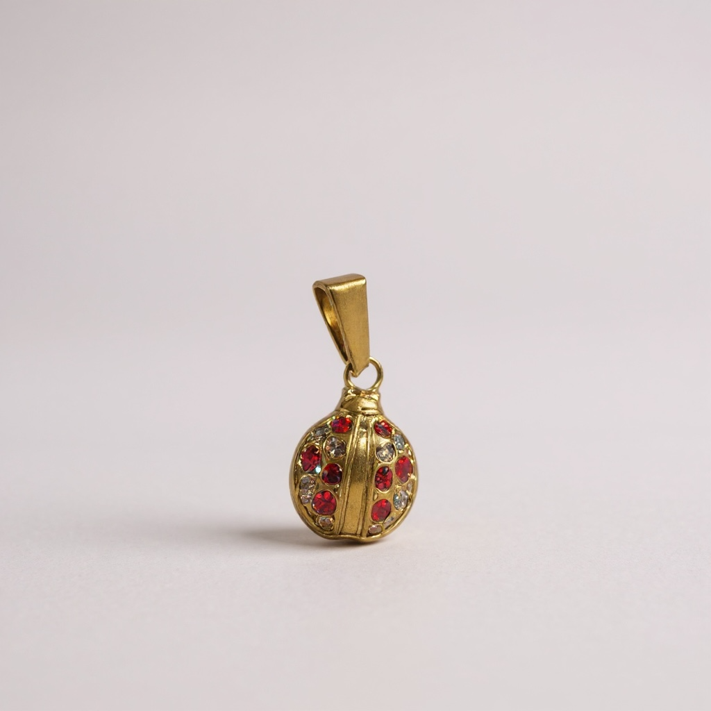 Coccinella Charm🐞