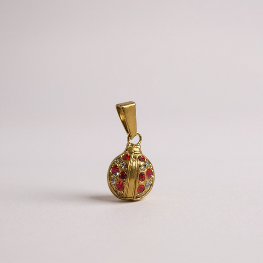 Coccinella Charm🐞