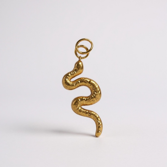 Serpente Charm🐍
