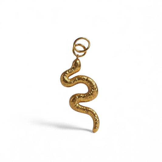 Serpente Charm🐍
